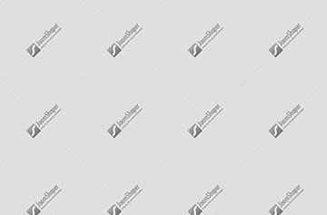 Marketing & SEA/SEO